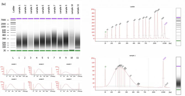 1655101948122426.png 34.png